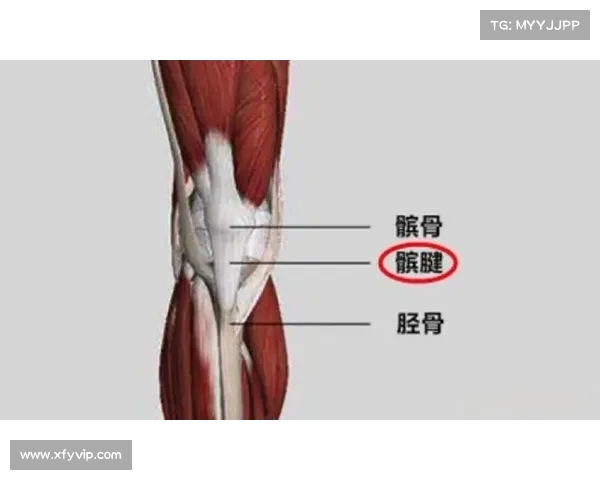 去年髌腱撕裂险些终结职业生涯,容子峰:终于回来了,我会更加努力训练! 去年髌腱撕裂险些终结职业生涯,容子峰:终于回来了,我会更加努力训练!
